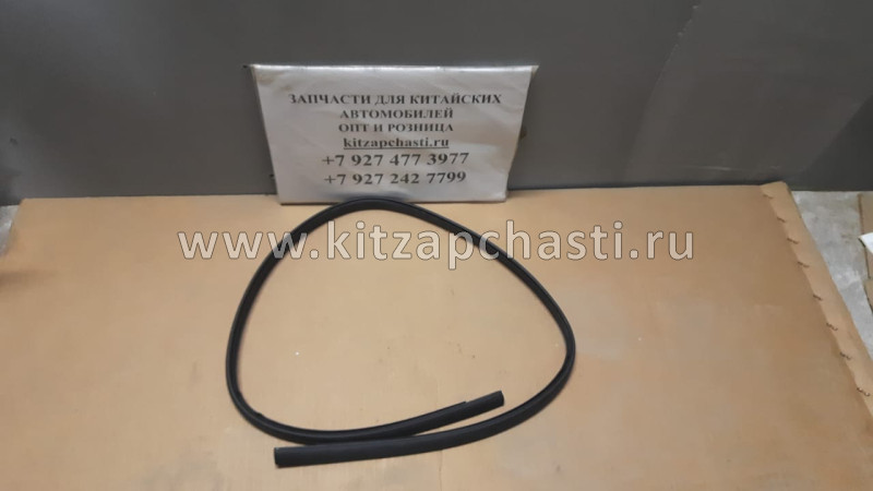 МОЛДИНГ КРЫШИ ЛЕВЫЙ Lifan Solano B5704111